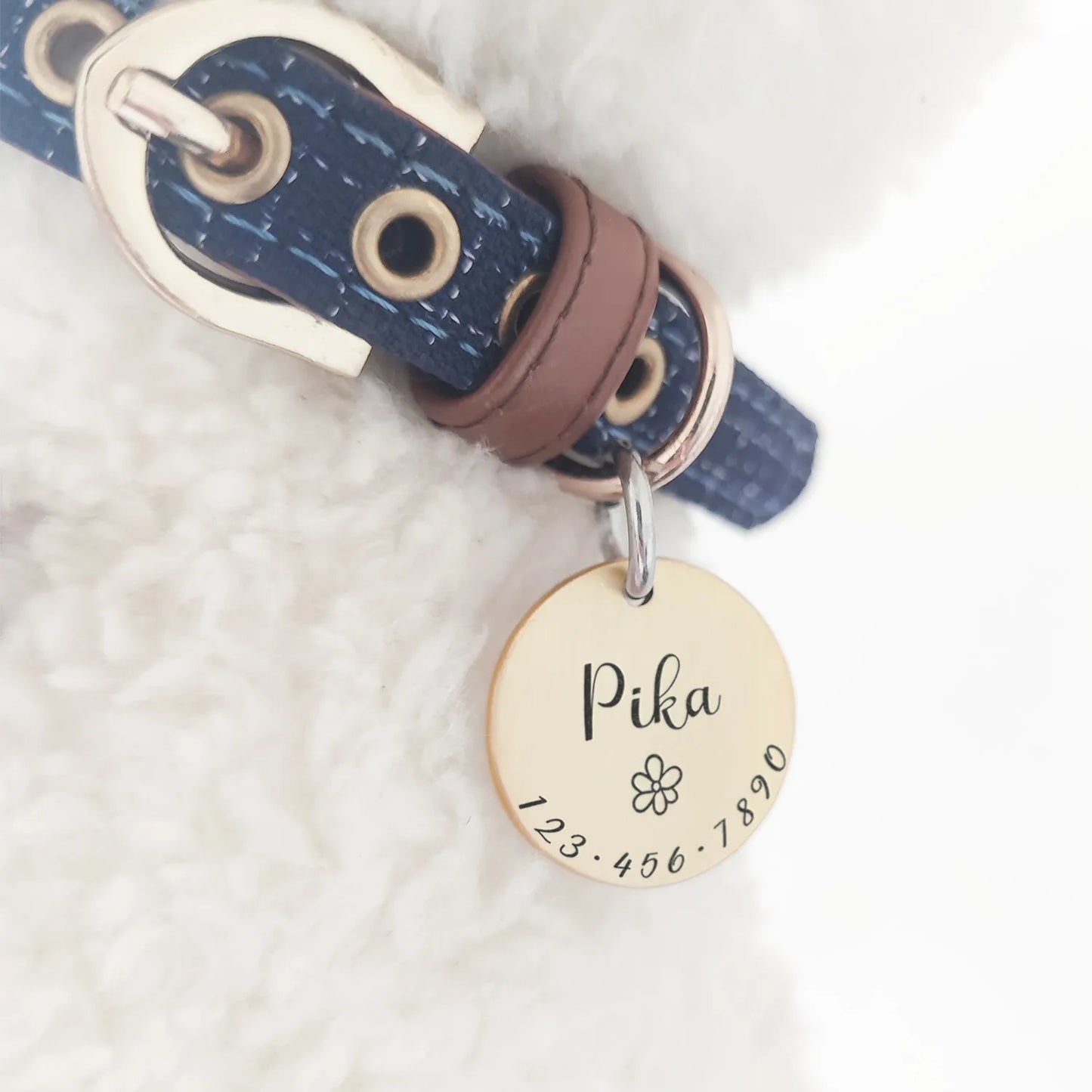 Custom Pet ID Tags: Ensuring Your Furry Friend's Safety and Style