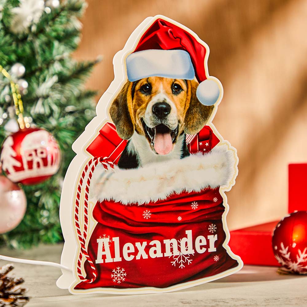 Personalized Pet Night Light Custom Photo Christmas Gift Basket Lamp